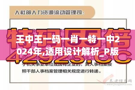 王中王一码一肖一特一中2024年,适用设计解析_P版7.114