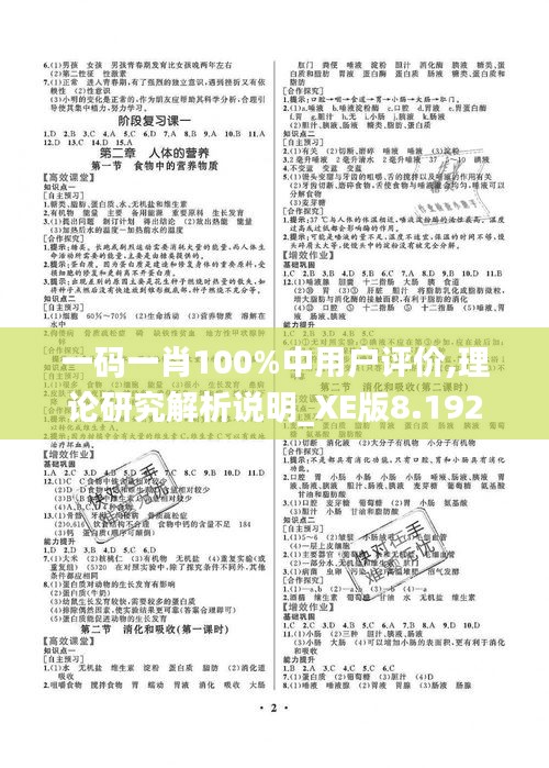 一码一肖100%中用户评价,理论研究解析说明_XE版8.192