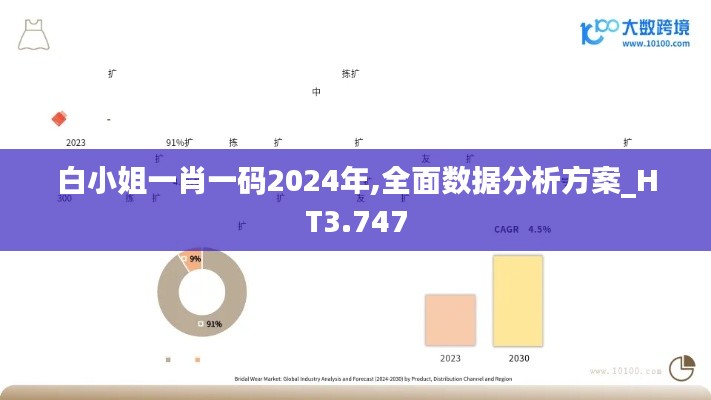 白小姐一肖一码2024年,全面数据分析方案_HT3.747