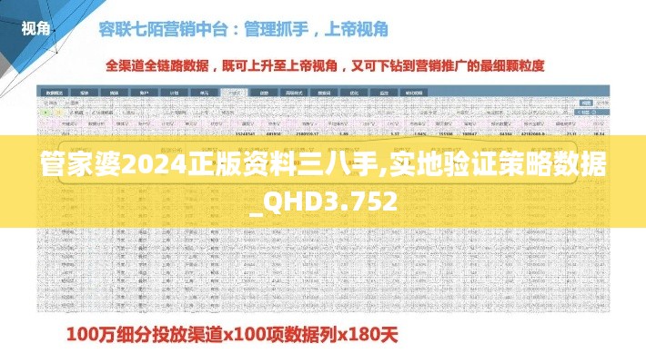 管家婆2024正版资料三八手,实地验证策略数据_QHD3.752