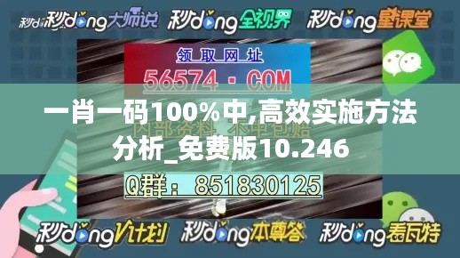 一肖一码100%中,高效实施方法分析_免费版10.246