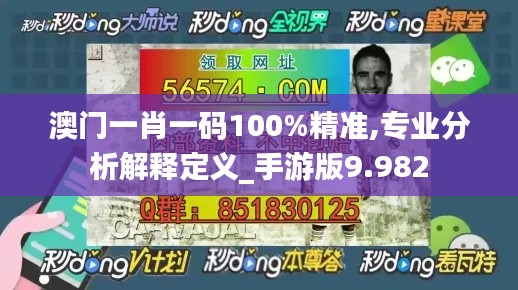 澳门一肖一码100%精准,专业分析解释定义_手游版9.982