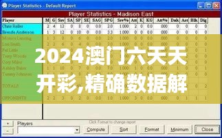 2024澳门六天天开彩,精确数据解释定义_运动版5.914