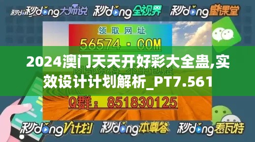 2024澳门天天开好彩大全蛊,实效设计计划解析_PT7.561