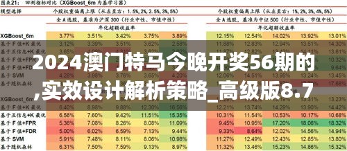 2024澳门特马今晚开奖56期的,实效设计解析策略_高级版8.773