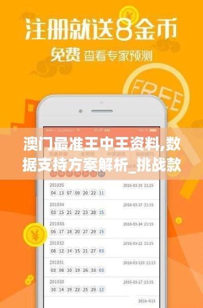 澳门最准王中王资料,数据支持方案解析_挑战款8.673