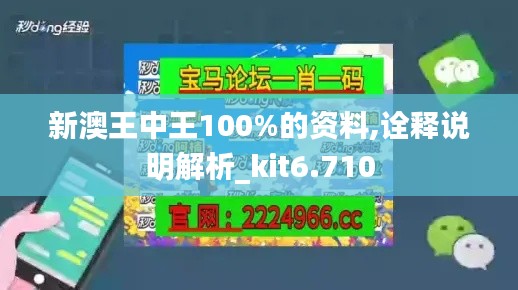 新澳王中王100%的资料,诠释说明解析_kit6.710