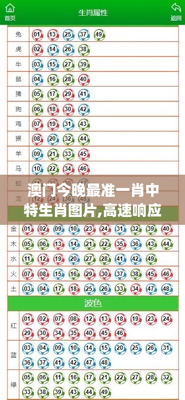 2024年12月6日 第27页