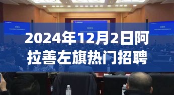 2024年阿拉善左旗招聘市场新机遇与挑战，热门行业与个人发展观点深度解析