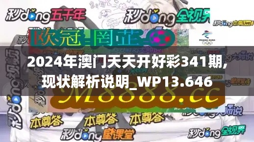 2024年澳门天天开好彩341期,现状解析说明_WP13.646