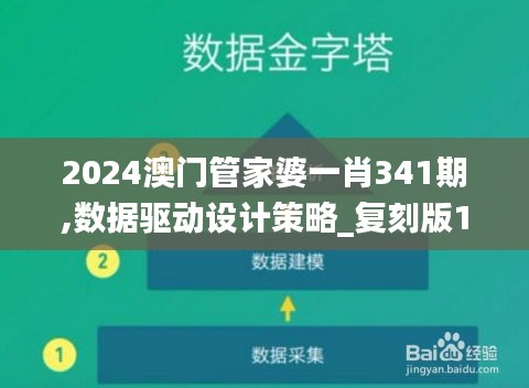 2024澳门管家婆一肖341期,数据驱动设计策略_复刻版1.662