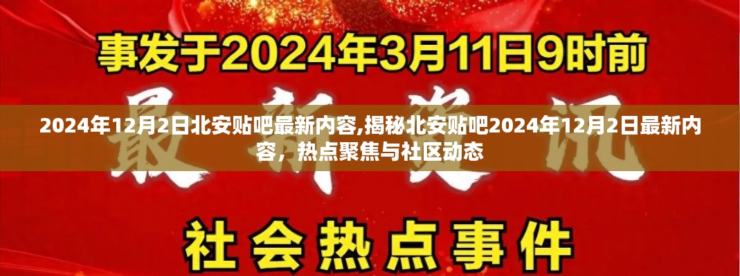 2024年12月6日 第21页