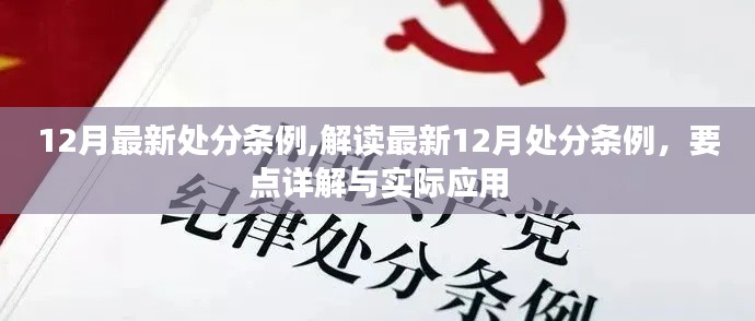 解读最新12月处分条例，要点详解与实际应用指南