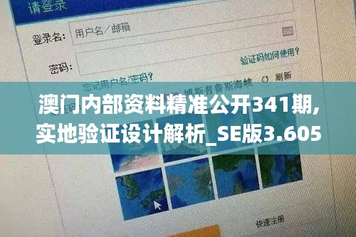 澳门内部资料精准公开341期,实地验证设计解析_SE版3.605