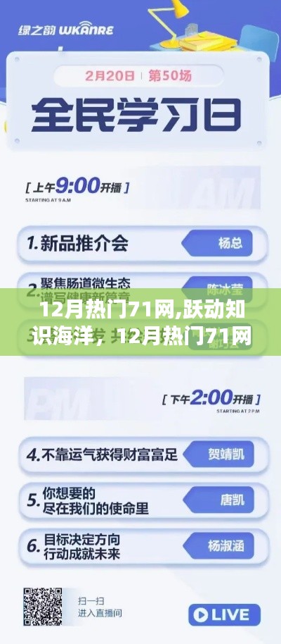 跃动知识海洋，引领自信成就之路——12月热门71网