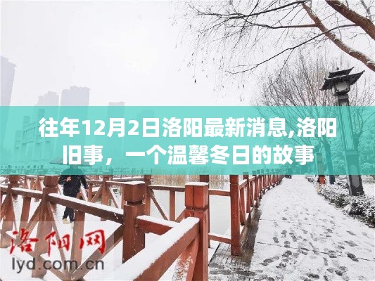 温馨冬日故事，洛阳旧事回顾与最新消息揭秘