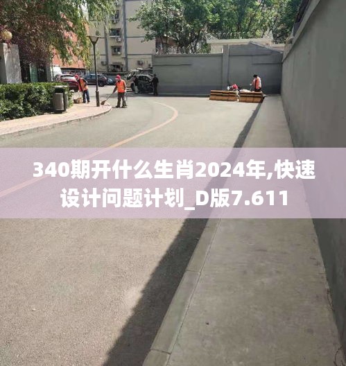 340期开什么生肖2024年,快速设计问题计划_D版7.611