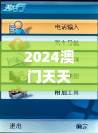 2024年12月6日 第13页