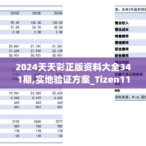 2024天天彩正版资料大全341期,实地验证方案_Tizen110.104