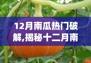 2024年12月6日 第10页