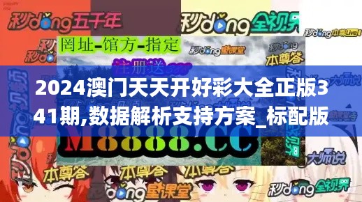 2024澳门天天开好彩大全正版341期,数据解析支持方案_标配版8.171