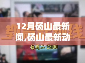 12月砀山新闻热点聚焦，深度解读最新动态与正反观点