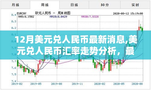 12月美元兑人民币最新动态与汇率走势分析，多元观点探讨