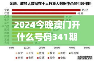 2024今晚澳门开什么号码341期星期日,高速响应策略_特供版15.790