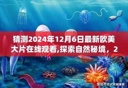 欧美大片预告，探索自然秘境的心灵之旅（预计2024年12月6日上线）