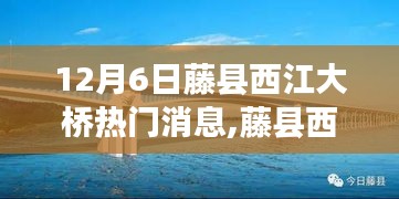 藤县西江大桥下的温馨故事与奇遇——12月6日的独特记忆