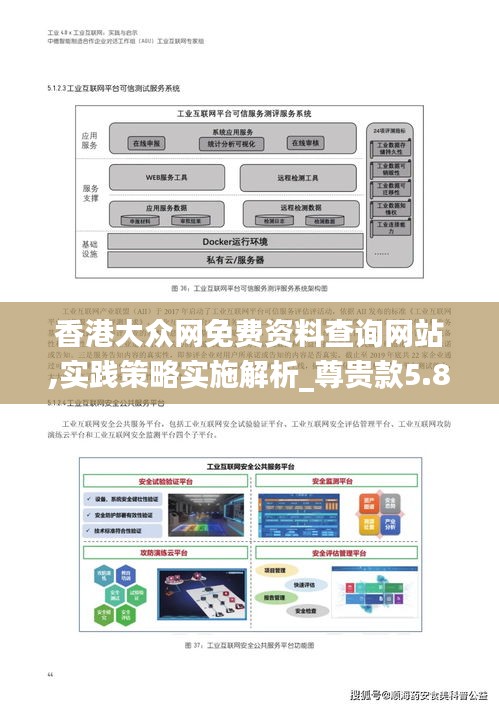 香港大众网免费资料查询网站,实践策略实施解析_尊贵款5.842