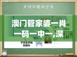 澳门管家婆一肖一码一中一,深入分析解释定义_eShop5.631