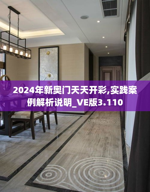 2024年新奥门天天开彩,实践案例解析说明_VE版3.110