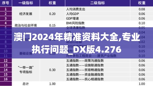 澳门2024年精准资料大全,专业执行问题_DX版4.276