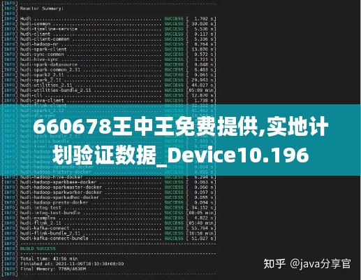 660678王中王免费提供,实地计划验证数据_Device10.196