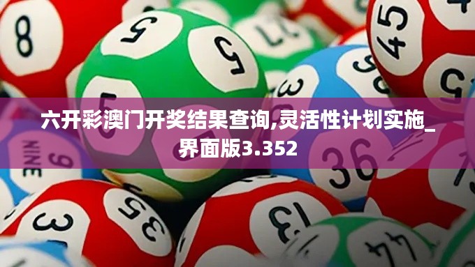 六开彩澳门开奖结果查询,灵活性计划实施_界面版3.352