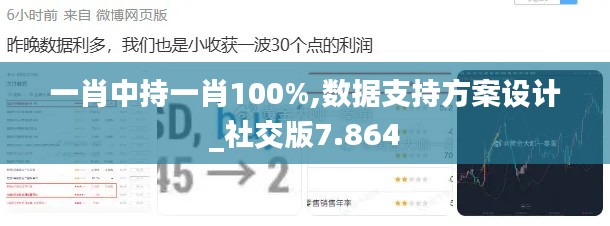 一肖中持一肖100%,数据支持方案设计_社交版7.864