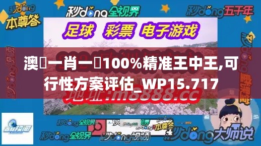 澳門一肖一碼100%精准王中王,可行性方案评估_WP15.717