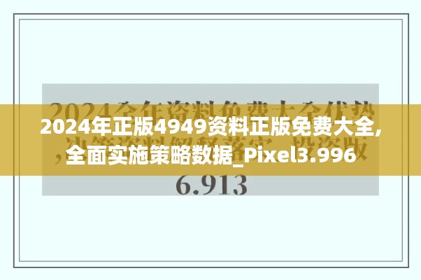 2024年正版4949资料正版免费大全,全面实施策略数据_Pixel3.996