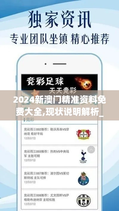 2024新澳门精准资料免费大全,现状说明解析_网页版18.300