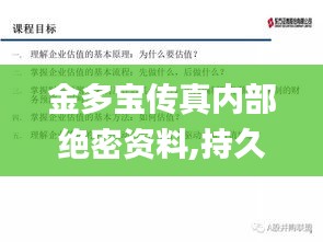 金多宝传真内部绝密资料,持久性方案解析_Premium2.700