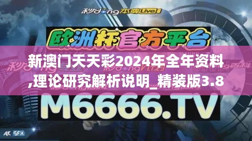 新澳门天天彩2024年全年资料,理论研究解析说明_精装版3.881