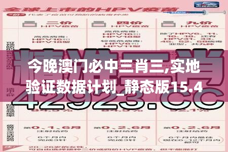 今晚澳门必中三肖三,实地验证数据计划_静态版15.413