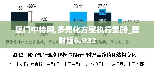 澳门中特网,多元化方案执行策略_理财版6.932