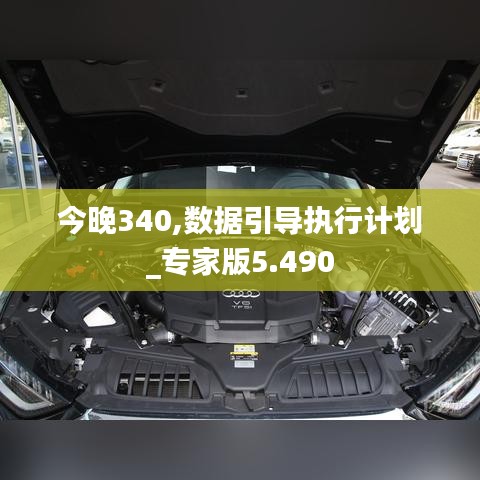 今晚340,数据引导执行计划_专家版5.490