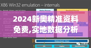 2024新奥精准资料免费,实地数据分析方案_Windows5.723