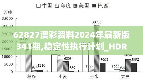 62827澳彩资料2024年最新版341期,稳定性执行计划_HDR9.505