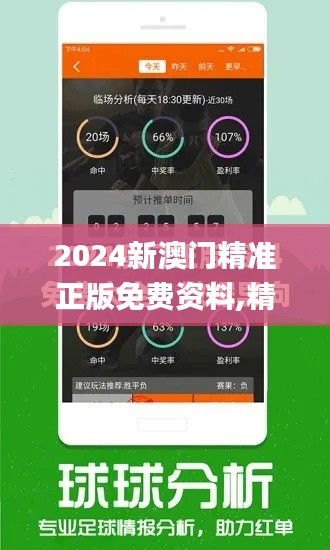 2024新澳门精准正版免费资料,精细解答解释定义_DX版6.964