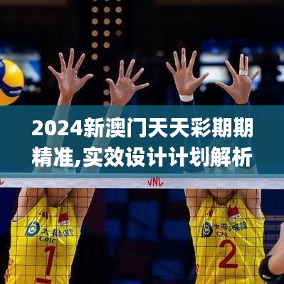 2024新澳门天天彩期期精准,实效设计计划解析_4DM12.240