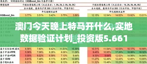 澳门今天晚上特马开什么,实地数据验证计划_投资版5.661